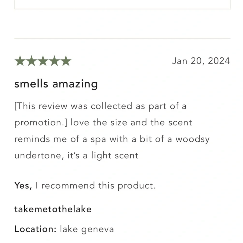 Ashberry and Bilberry leaves pressed pillar - Picture 2 of 7